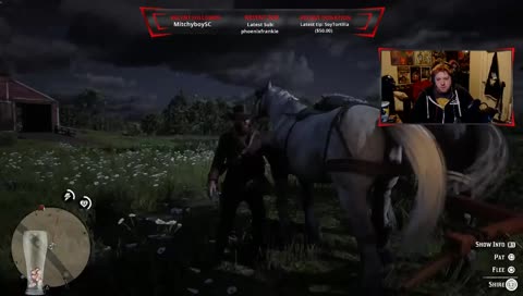 Red Dork Redemption II. Now with Colorful hair!