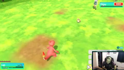 A Wild Ragule Appears