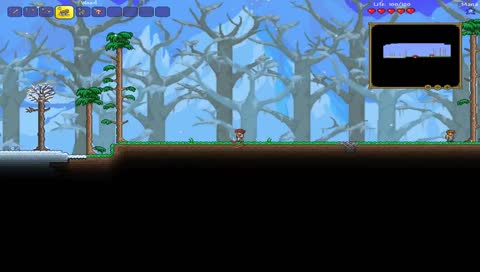 Terraria