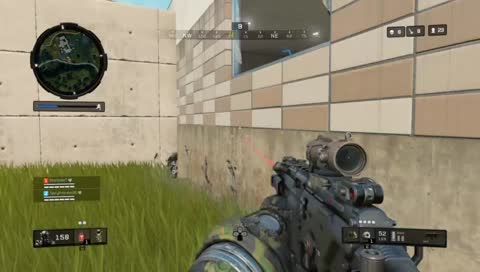 guinea pigging spicy haha