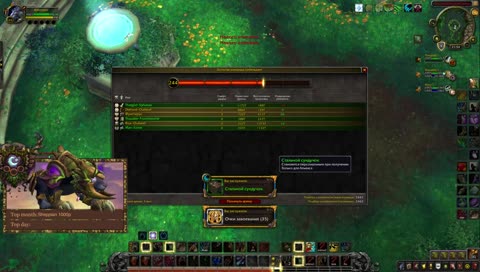 Feral/DH PvP