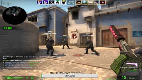 Donation Goal for my Plane Ticket to NJ | Pugs with @TundraEZ