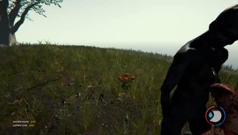 THE FOREST!! SPOOKY!  LIVE STREAM