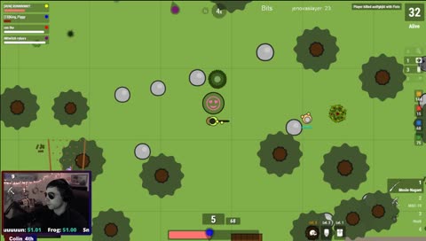 Piles of turkey feathers <3