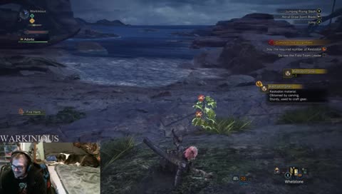 been wanting to do ths