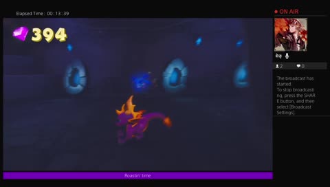 Casual 100% - Spyro 1 