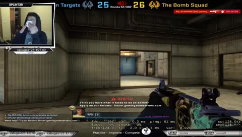 [PT/ENG]-hello my turtles!!
