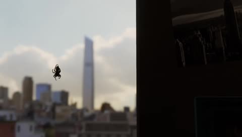 Spiderman !