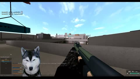 A dog playing Phantom Forces!
