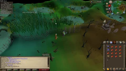 playing runescape