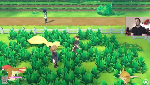 [SWE] Let's try and catch most of them