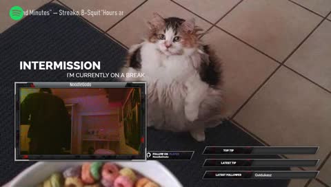 First Stream Test - Gonna play somethin, idk, who cares