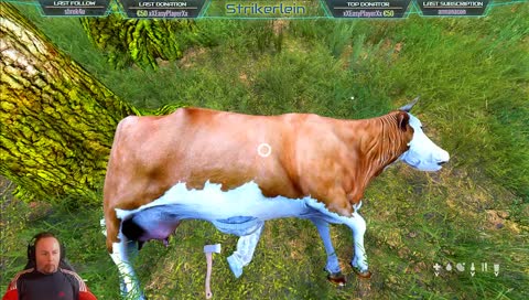 Bandits on the road !! KOS saves life ! [GER/EN]