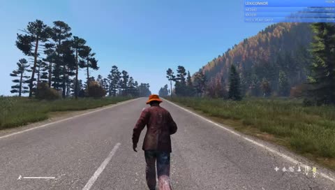 Dayz: Happy Weekend Folks
