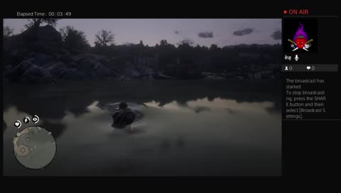 Worst RDR2 Player 