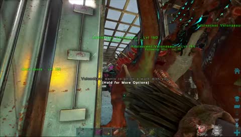 [ENG] Looking after the babies