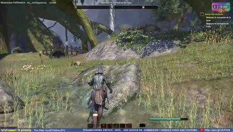 [Chill Night] En manque de MMO ? GO sur TESO ! (PC)