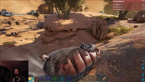 HEEEEEEEEEHEEEEHEEEHEHEHEHEHEHE