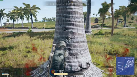 배그 Vector Qbu 개꿀잼