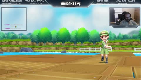 Continuing the game so we can shiny hunt!