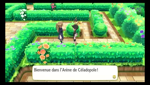 [FR/EN] POKEMON - THE GREAT ADVENTURE !