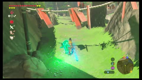 Legend of Zelda: BoTW Livestream