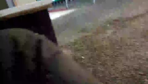 imhonor60'in mobil yayını