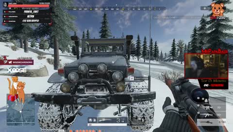 MiniStream | Die Bären sind los <3 !discord