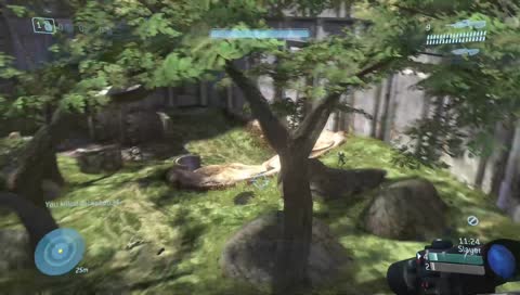 Halo 3 50