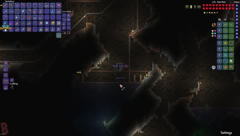 Vanilla Expert with mopioid! (546/550 Sub Goal)