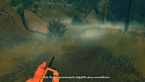 Orman Görevlisi Olmak Gibi Bir Oyun
