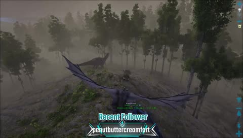 randoms games and shananagins?