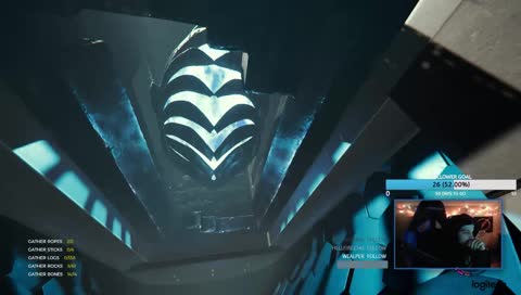 the forest with a dunce ;)