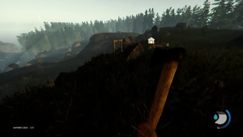 The forest series // stream #2