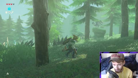 Bokoblin Slayer - Masters Mode