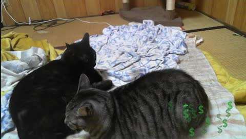 Ultima Online 日本DUEL大会１位のプロHJM36歳のゲーム配信