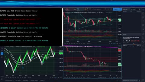 Bitcoin Bot Live Trading 24/7 Bitmex Binance GDAX Cryptocurrency Programming Coding Crypto