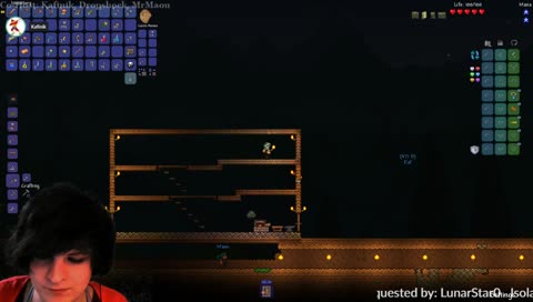 ✨🌟◘2-D Minecraft! (Jk it's Terraria)◘🌟✨