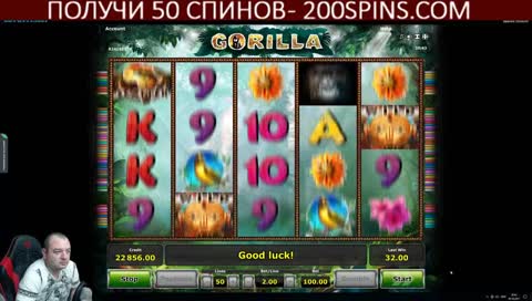 Казино стрим. 50 ФРИСПИНОВ В ПОДАРОК, СМОТРИ ОПИСАНИЕ ПОД ВИДЕО И ЗАБИРАЙ ИХ!