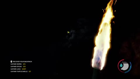 The Forest with the Boys