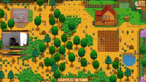 One year !challenge: 3 mil in hand, community center, date all villagers, max skills, monster slayer, and rarecrows