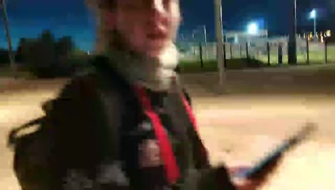 Paseo por parque con los perritos