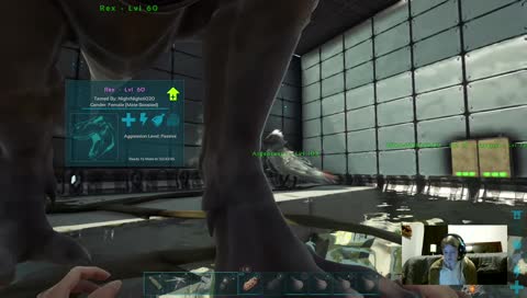 Not Sure What To Do😂