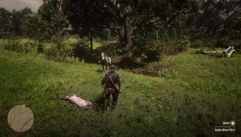 Casual gamer sucks at wildlife hunting.