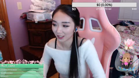 KITTENS ARE CUTE POG 