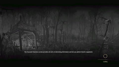 Witcher 3 - MAX Difficulty