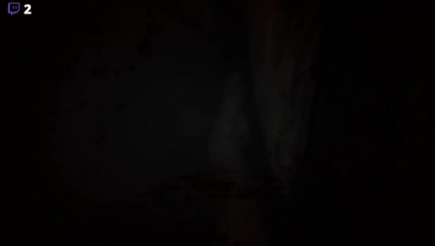 Outlast 2