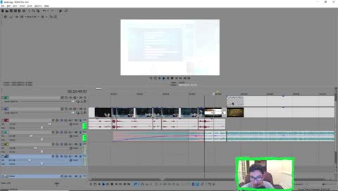 editing for panunulol
