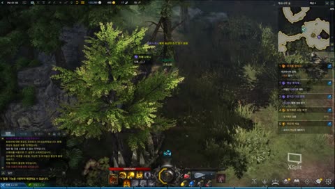 로아 모코코 스토리 진행