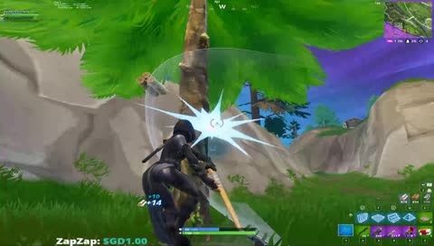 Duo Pro Scrims l hit me w the follow pls thanks